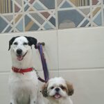 Home whatsapp image 2025 11 18 at 11.20.13 pm