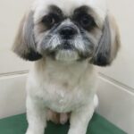 Home whatsapp image 2025 11 18 at 11.20.14 pm (1)