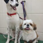 Home whatsapp image 2025 11 18 at 11.20.14 pm