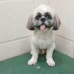 Home whatsapp image 2025 11 18 at 11.20.15 pm (1)