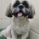 Home whatsapp image 2025 11 18 at 11.20.15 pm