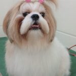 Home whatsapp image 2025 11 18 at 11.20.40 pm