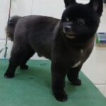 Home whatsapp image 2025 11 18 at 11.21.21 pm