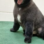 Home whatsapp image 2025 11 18 at 11.21.39 pm