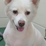 Home whatsapp image 2025 11 18 at 11.21.55 pm