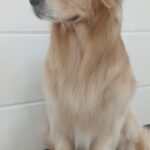 Home whatsapp image 2025 11 18 at 11.22.20 pm