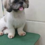 Home whatsapp image 2025 11 18 at 11.24.44 pm