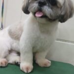 Home whatsapp image 2025 11 18 at 11.25.03 pm