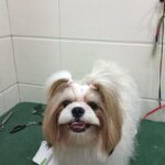 Home whatsapp image 2025 11 18 at 11.25.42 pm