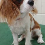 Home whatsapp image 2025 11 18 at 11.26.34 pm