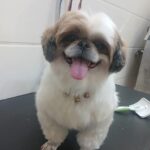 Home whatsapp image 2025 11 18 at 11.27.48 pm