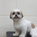 Home whatsapp image 2025 11 18 at 11.28.14 pm