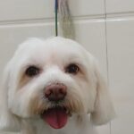 Home whatsapp image 2025 11 18 at 11.29.24 pm