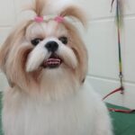 Home whatsapp image 2025 11 18 at 11.30.15 pm